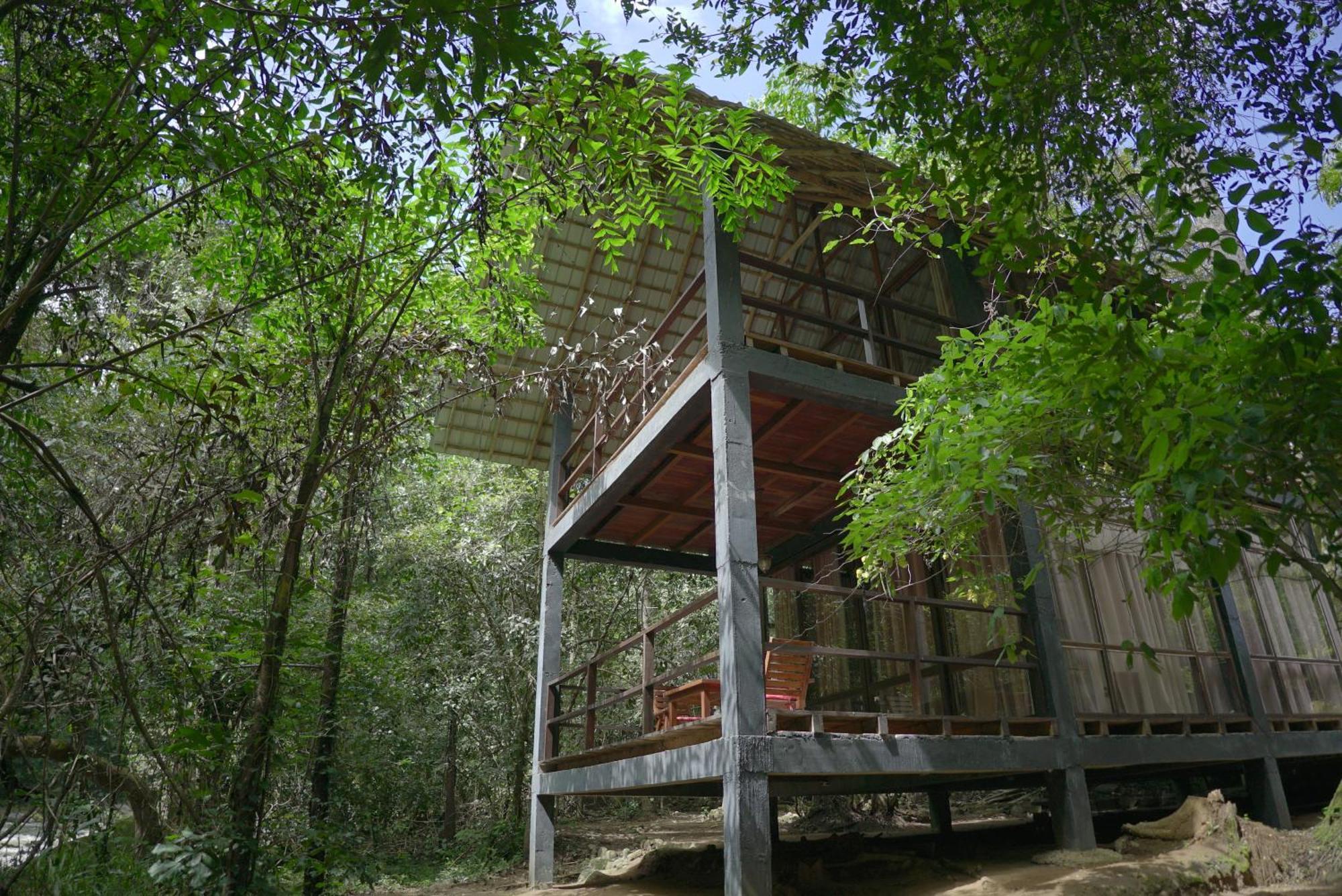 Ella Jungle Resort Exterior photo