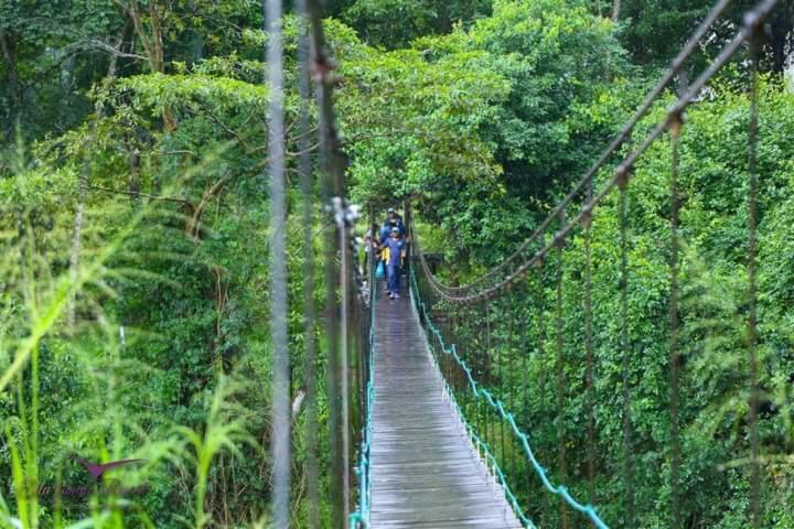 Ella Jungle Resort Exterior photo