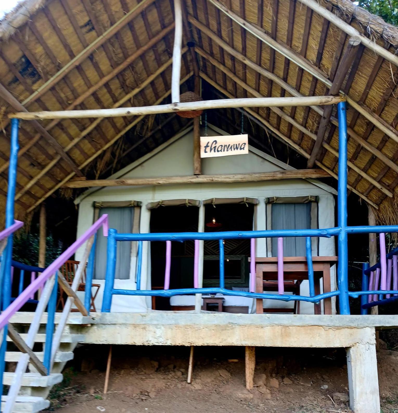 Ella Jungle Resort Room photo