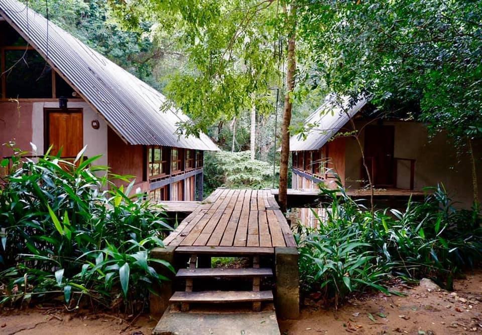 Ella Jungle Resort Room photo