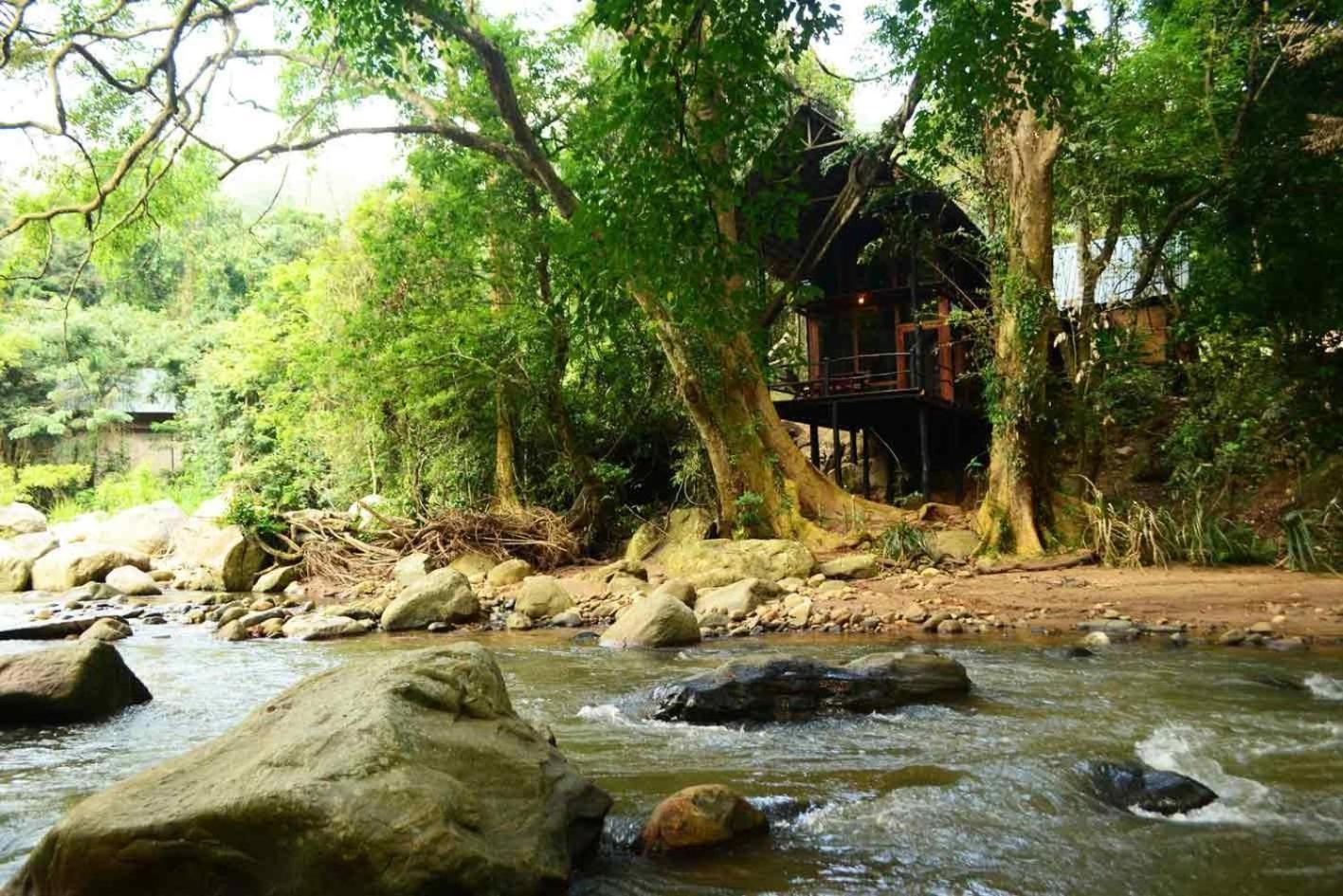 Ella Jungle Resort Room photo