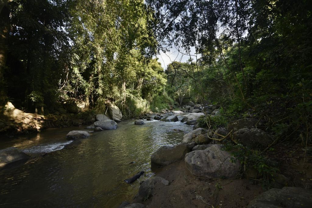 Ella Jungle Resort Exterior photo
